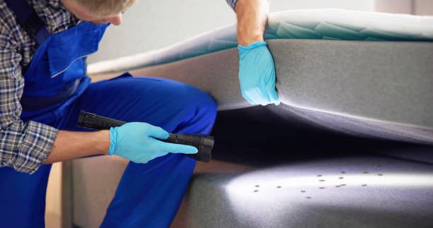 Trusted Sugarmill Woods, FL Pest Control Experts